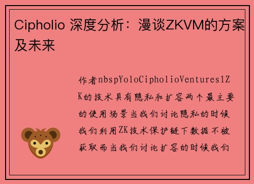 Cipholio 深度分析：漫谈ZKVM的方案及未来