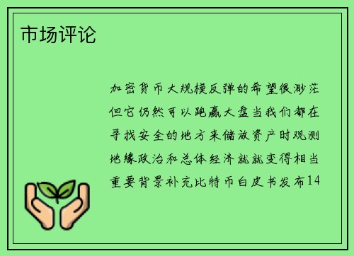 市场评论